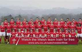 Image result for Welsh Rugby Cute Pics