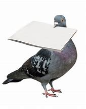 Image result for Xmas Post Pigeon