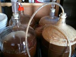 Image result for Yeast for Beer