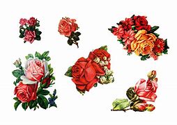 Image result for Free Printable Rose Stickers