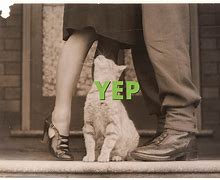 Image result for Yep Meaning