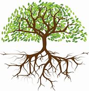 Image result for Fruit Tree with Roots Clip Art