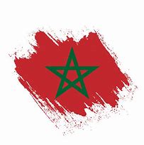 Image result for morocco flag vector