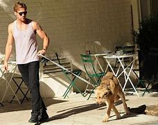 Image result for Ryan Gosling Dog George