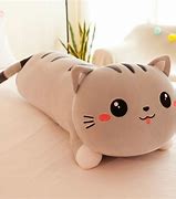 Image result for Cat On a Pillow