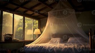 Image result for Mosquito Net Balck Fro Bed