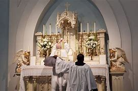 Image result for Host Catholic Church