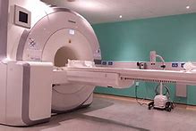 Image result for Pet MRI Scan