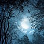 Image result for Red Moon Forest