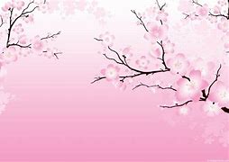 Image result for Cherry Blossom Wallpaper Desktop