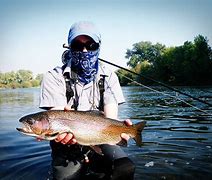 Image result for Fly Fishing Flies Sport