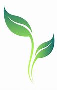 Image result for Act Leaf Logo