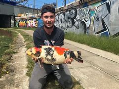 Image result for Catching Fish Urban Fishing