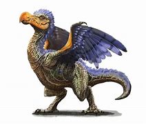 Image result for Dungeons and Dragons Bird