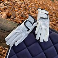 Image result for Horse Show Gloves