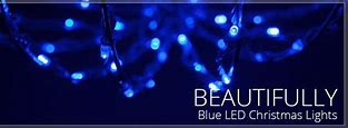 Image result for Blue LED Christmas Lights