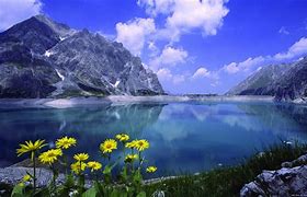 Image result for Lake View/Print