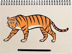 Image result for Easy Draw Tiger