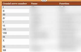 Image result for Cranial Nerves Number Diagram