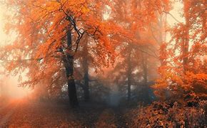 Image result for Cozy Fall Laptop Backgrounds