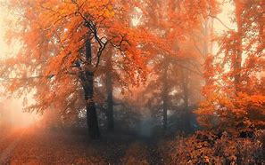 Image result for Cozy Fall Desktop Backgrounds