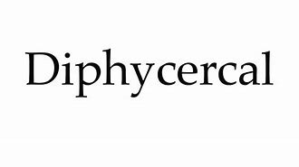 Image result for Diphycercal