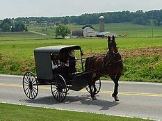 Image result for Equestrian Use of Roadways