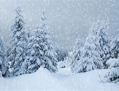 Image result for Winter 230514