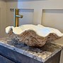 Image result for Clam Shell Sink