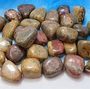 Image result for Lion Skin Crystal