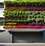 Image result for Urban Gardening Balkon