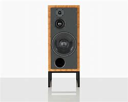 Image result for Active Speakers ATC 100