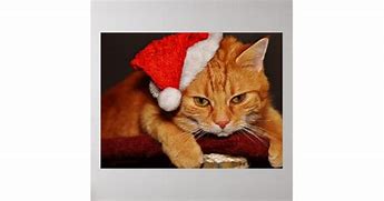 Image result for Grumpy Cat Santa Hat