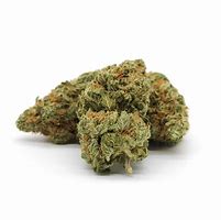 Image result for OG Kush Indica