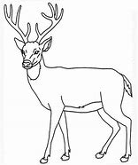 Image result for Mule Deer Stencil Drzw