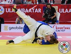 Image result for Judo Arm Slam