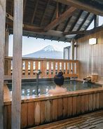 Image result for Mixed Onsen Ryokan