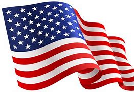 Image result for USA Flag Free