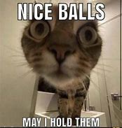 Image result for Gouhl Balls Meme