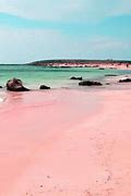 Image result for Pink Sand Beaches in Bahamas