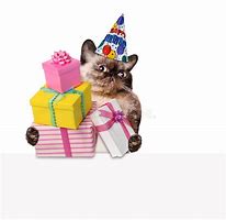 Image result for Business Cat Birthday