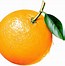 Image result for Orange Done Check Free Clip Art