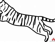 Image result for Outline Tiger Drawings Sketches