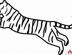 Image result for Tiger Sketch Outline