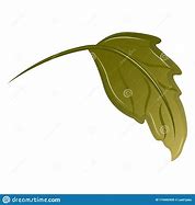 Image result for Realistic Leaf Clip Art