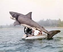 Image result for Real Shark in Jaws Filming