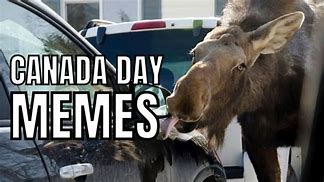 Image result for Canada Day Memes