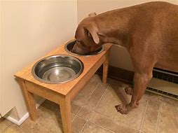 Image result for Dog Food Table