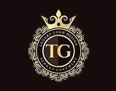 Image result for TG Built Surron Logo