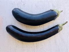 Image result for Largest Eggplant